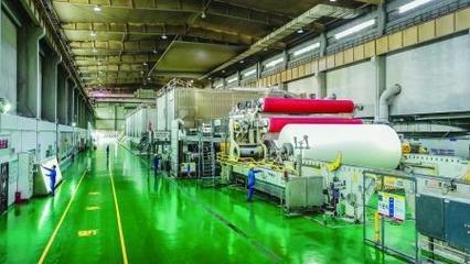 林漿紙一體化與碳匯開發 節能環保技術的新路徑與協同效應