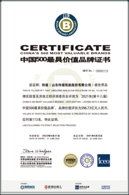 我市兩品牌榮登2021年“中國500最具價值品牌”榜單，節能環保技術開發成亮點